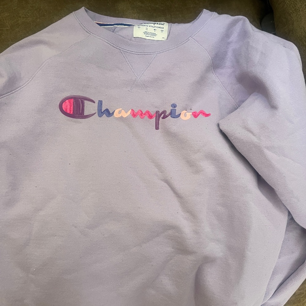 Champion Sweatshirt